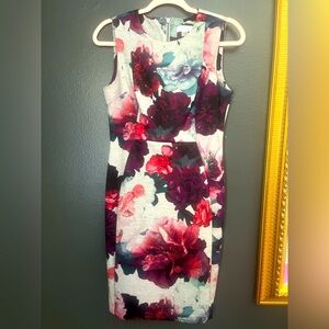 Calvin Klein Sleeveless Floral Dress Size 6